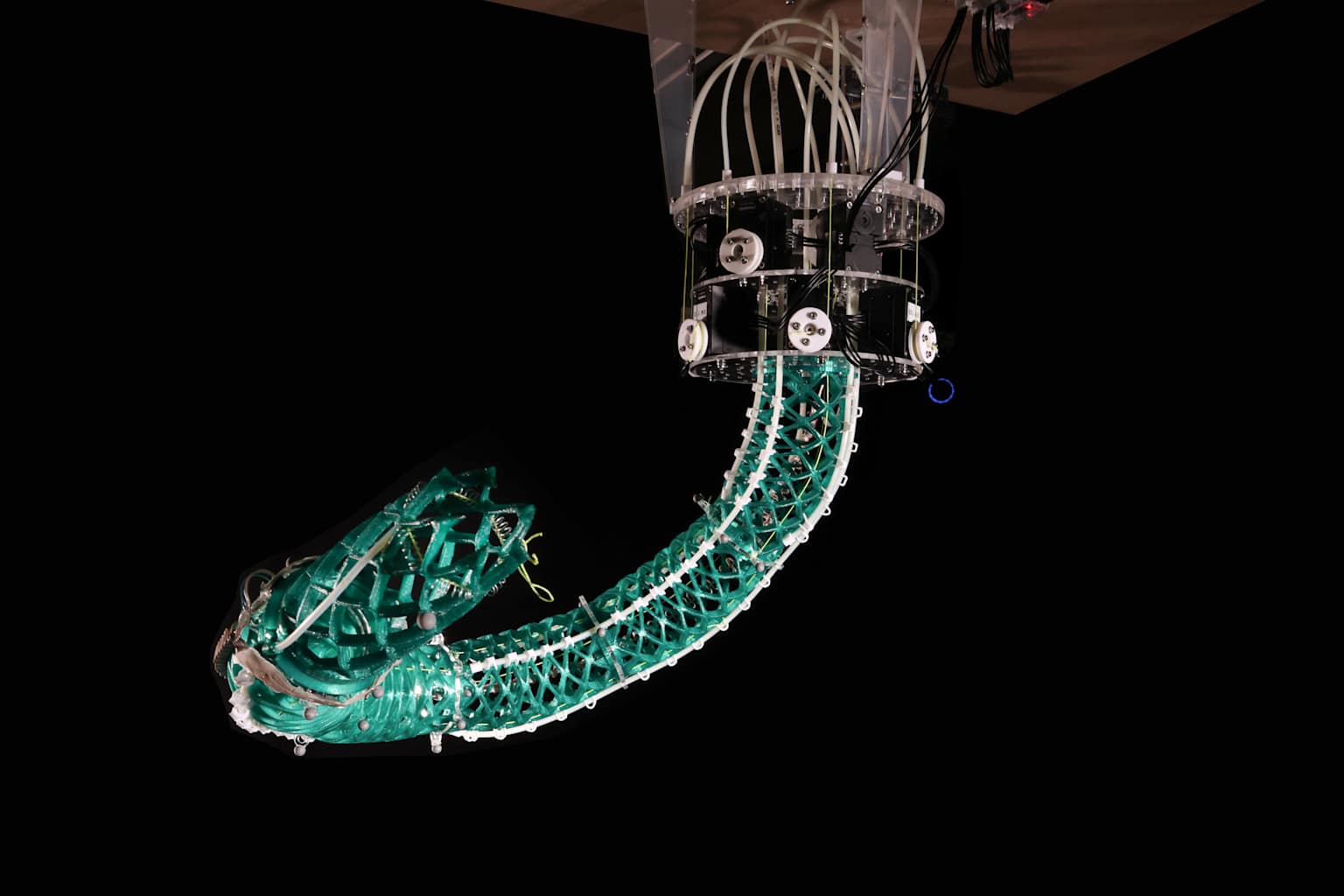 Soft Robotics: From Squishy Muscles to Sustainable Machines